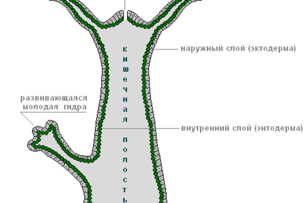 Ссылка на кракен kr2web in