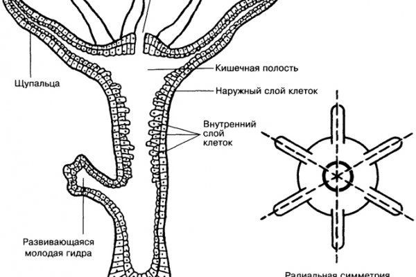 Kraken официальная ссылка
