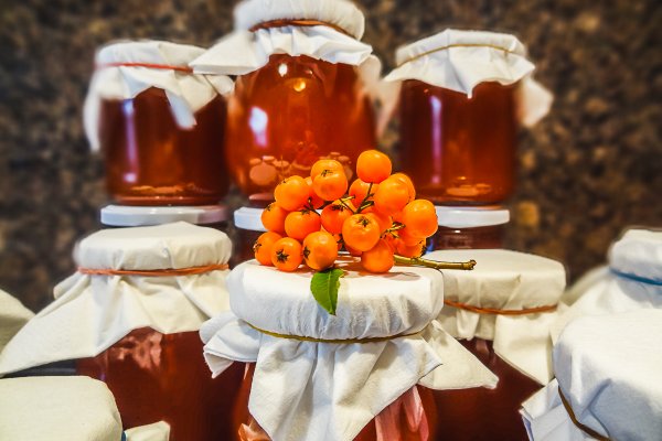 Ссылка на кракен реальная