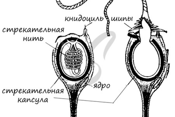 Кракен сайт маркетплейс