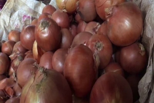 Восстановить аккаунт на кракене