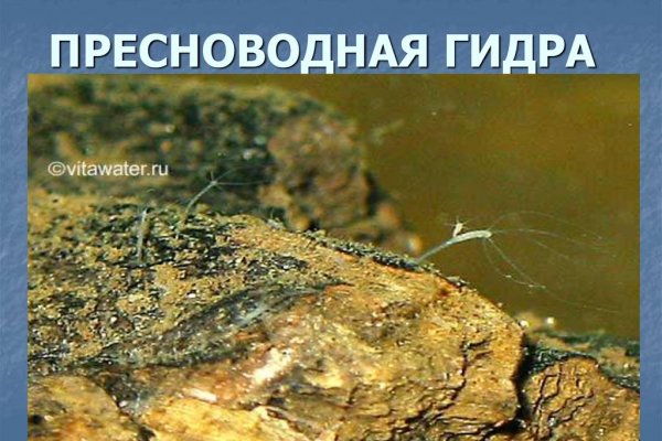 Кракен в россии наркотик