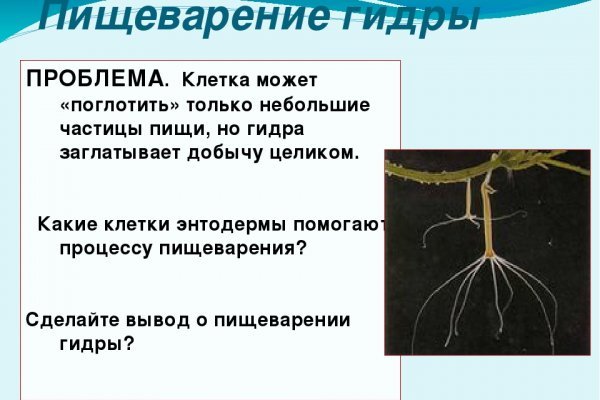 Kraken 2krn at