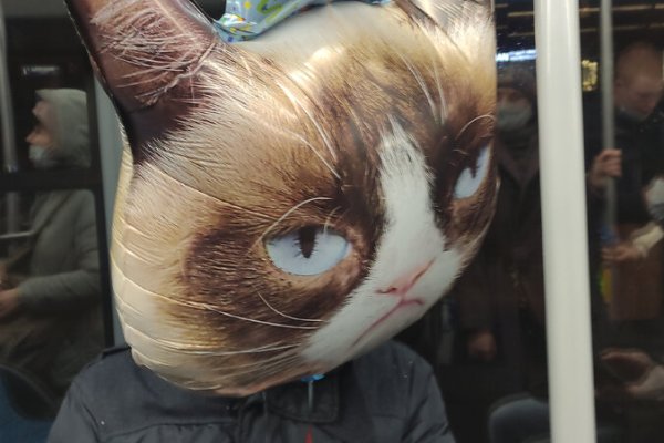 Купить наркотики москва