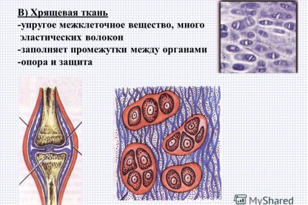 Список сайтов даркнета