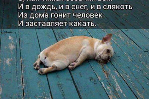 Кракен сайт