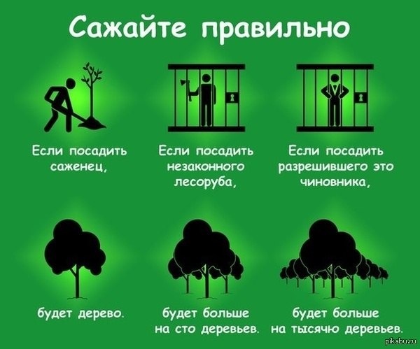 Кракен маркет плейс